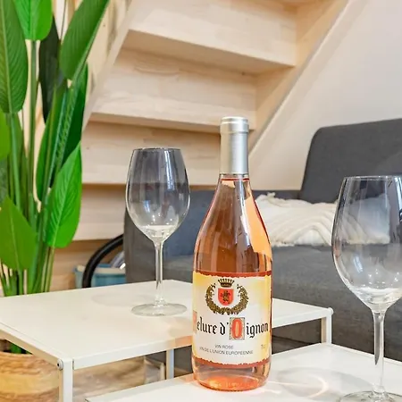 Le Vegetal Apartment Carcassonne