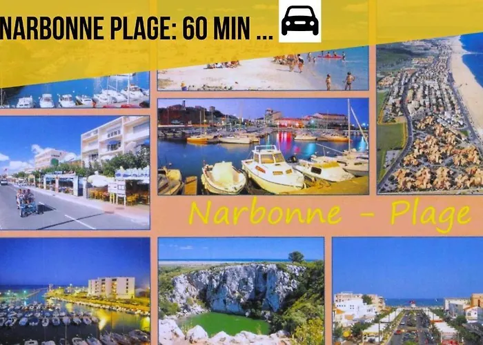 Le Vegetal Carcassonne